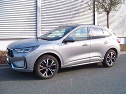 Grau Gebraucht 2025 Ford Kuga ST-Line X SUV | 39.980 € (Fairer Preis)