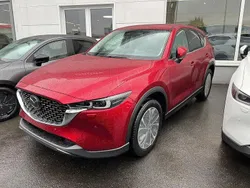 Gebraucht 2023 Mazda CX-5 Exclusive-Line SUV | 38.490 € (Teuer)