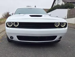 Weiß Gebraucht 2019 Dodge Challenger Coupé | 33.500 € (Fairer Preis)