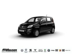 Schwarz Neu 2026 Fiat Panda Icon Kleinwagen | 16.785 € (Etwas zu teuer)