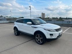Weiß Gebraucht 2016 Land Rover Range Rover evoque SUV | 14.999 €