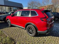Premium crystal red Gebraucht 2024 Honda CR-V Elegance SUV | 46.990 €