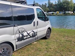 Grau Gebraucht 2012 Opel Vivaro Van | 8.600 €