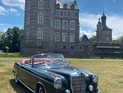 Grau Gebraucht 1957 Mercedes 220 Cabrio | 85.000 €