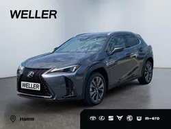 Andere Neu 2025 Lexus UX SUV | 40.990 € (Etwas zu teuer)