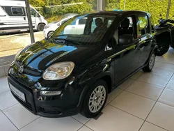 Schwarz Neu 2024 Fiat Panda Kleinwagen | 13.990 € (Fairer Preis)
