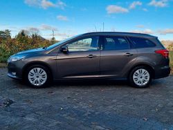 Braun Gebraucht 2016 Ford Focus Kombi | 8.950 € (Fairer Preis)