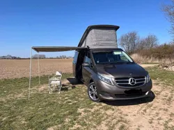 Braun Gebraucht 2017 Mercedes V250 Marco Polo Van / Kleinbus | 41.000 €