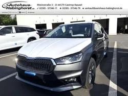 Grau Neu 2025 Skoda Fabia Tour Kleinwagen | 24.290 € (Etwas zu teuer)