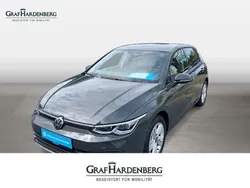 Grau Gebraucht 2023 VW Golf VIII Life Kleinwagen | 21.910 € (Guter Preis)