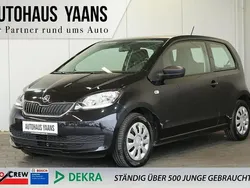 Schwarz Gebraucht 2019 Skoda Citigo Active Kleinwagen | 8.499 € (Etwas zu teuer)