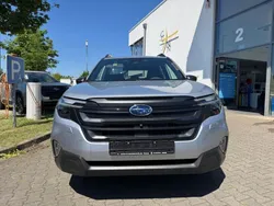 Gold Neu 2025 Subaru Forester Active SUV | 39.990 € (Superpreis)