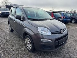 Gebraucht 2020 Fiat Panda Easy Kleinwagen | 5.690 € (Guter Preis)