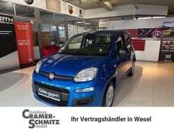 Italia blau Neu 2025 Fiat Panda Icon Limousine | 15.990 € (Etwas zu teuer)