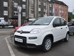 Bianco divino/zenit/ghiaccio/gel Gebraucht 2024 Fiat Panda Kleinwagen | 14.990 € (Fairer Preis)