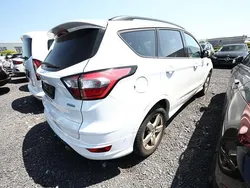 Frostweiß frostweiß frostweiß Gebraucht 2018 Ford Kuga ST-Line SUV | 15.964 € (Fairer Preis)