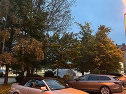 Silber Gebraucht 2004 BMW 330 Cabriolet Performance Cabrio | 18.500 €