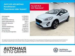 Weiß (frost weiß) Gebraucht 2019 Ford Fiesta Active Kleinwagen | 11.930 € (Fairer Preis)