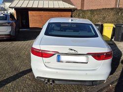 Weiß Gebraucht 2016 Jaguar XF Limousine | 12.000 € (Teuer)