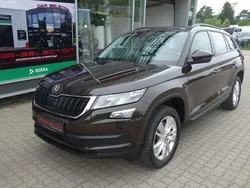 Braun Gebraucht 2018 Skoda Kodiaq Ambition SUV | 23.800 € (Guter Preis)