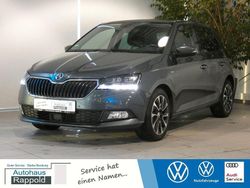 Grau Gebraucht 2020 Skoda Fabia Best of Kleinwagen | 13.390 € (Fairer Preis)