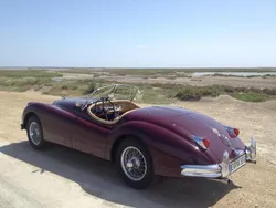 Rot Gebraucht 1955 Jaguar XK SE Cabrio | 81.990 €