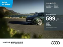 Carraraweiß Neu 2025 Audi Q8 Ambiente SUV | 92.911 € (Superpreis)