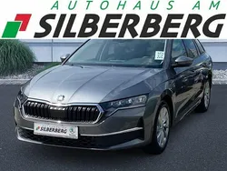 Grau Gebraucht 2024 Skoda Octavia Selection Kombi | 31.449 € (Etwas zu teuer)