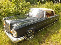 Grün Gebraucht 1967 Mercedes 250 SE Cabrio | 148.500 €