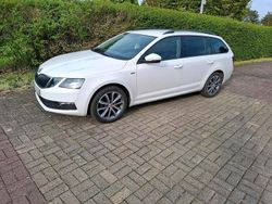 Weiß Gebraucht 2019 Skoda Octavia Soleil Kombi | 15.499 € (Fairer Preis)