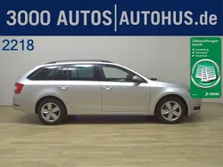 Grau Gebraucht 2019 Skoda Octavia Ambition Kombi | 10.980 € (Guter Preis)
