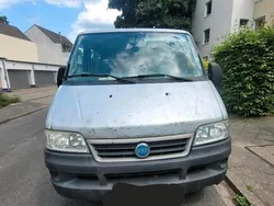 Gebraucht 2004 Fiat Ducato Van | 1.200 €