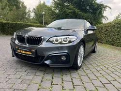Grau Gebraucht 2018 BMW 218 M Sport Cabrio | 18.900 € (Guter Preis)