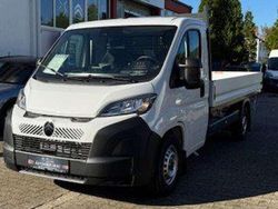 Lackierung weiss Gebraucht 2024 Citroën Jumper Van / Kleinbus | 35.900 € (Fairer Preis)