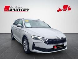 Moonweiss metallic Gebraucht 2025 Skoda Octavia Selection Kombi | 31.930 € (Guter Preis)