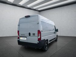 Weiß Neu 2025 Fiat Ducato Van | 36.949 € (Teuer)