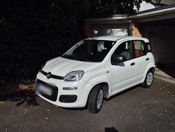 Weiß Gebraucht 2014 Fiat Panda Easy Kleinwagen | 4.900 € (Guter Preis)