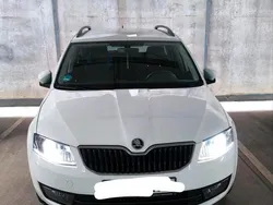 Weiß Gebraucht 2017 Skoda Octavia Kombi | 11.500 € (Fairer Preis)