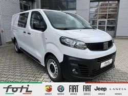 Weiß Neu 2024 Fiat Scudo Van / Kleinbus | 35.990 €