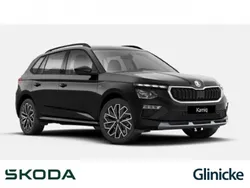 Schwarz Gebraucht 2025 Skoda Kamiq Tour SUV | 30.490 € (Etwas zu teuer)