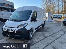 Weiß Neu 2026 Fiat Ducato Van | 35.771 € (Guter Preis)