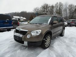Braun Gebraucht 2011 Skoda Yeti Experience SUV | 6.000 € (Guter Preis)
