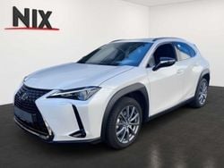 Titaniumweiß Gebraucht 2022 Lexus UX 250h SUV | 35.990 € (Teuer)