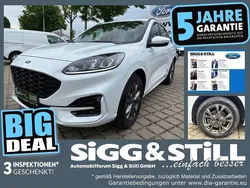 Frostweiß Gebraucht 2021 Ford Kuga ST-Line SUV | 20.850 € (Guter Preis)