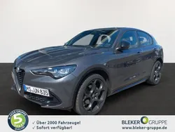 Metallic lackierung Gebraucht 2024 Alfa Romeo Stelvio Sprint SUV | 48.280 € (Etwas zu teuer)