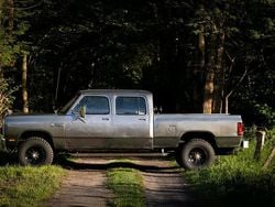 Grau Gebraucht 1981 Dodge Ram Abholung | 22.900 €