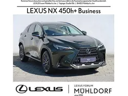 Grün (6x4 norigrün) Neu 2025 Lexus NX450h+ Business Edition SUV | 68.240 €