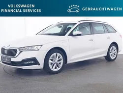 Candyweiß Gebraucht 2023 Skoda Octavia Ambition Kombi | 26.040 € (Guter Preis)
