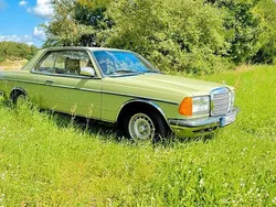 Grün Gebraucht 1979 Mercedes 230 Limousine | 6.000 €