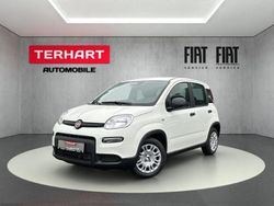 Weiss) (weiss Gebraucht 2024 Fiat Panda Kleinwagen | 14.987 € (Fairer Preis)